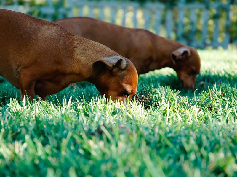 sudoku solution check screenshot 3