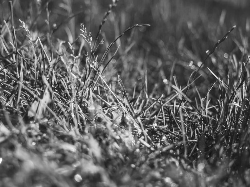 sudoku grid 9x9 screenshot 5